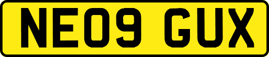 NE09GUX