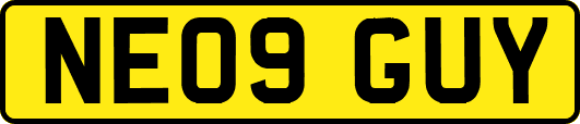 NE09GUY