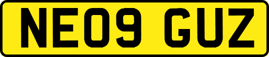 NE09GUZ