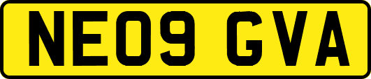 NE09GVA
