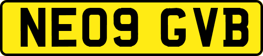 NE09GVB