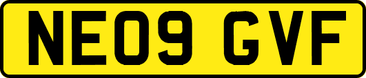 NE09GVF