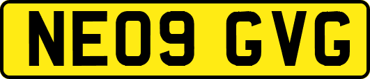 NE09GVG