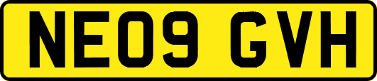 NE09GVH