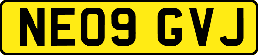 NE09GVJ