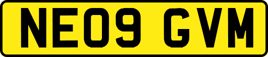 NE09GVM