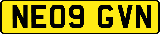 NE09GVN