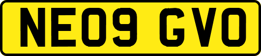 NE09GVO