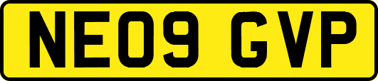 NE09GVP