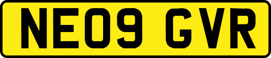 NE09GVR