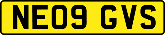 NE09GVS