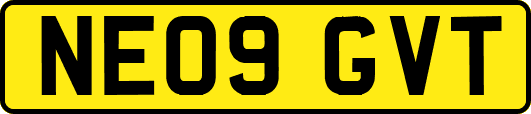 NE09GVT