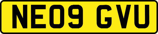 NE09GVU