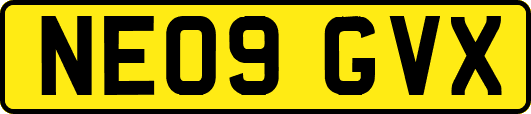 NE09GVX