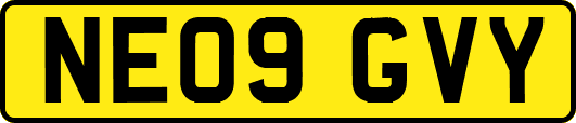 NE09GVY