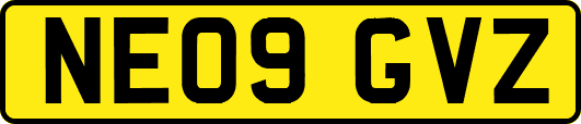 NE09GVZ