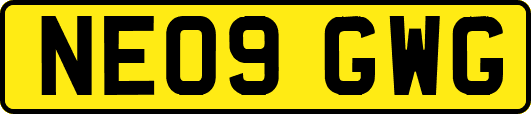 NE09GWG