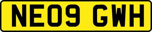 NE09GWH