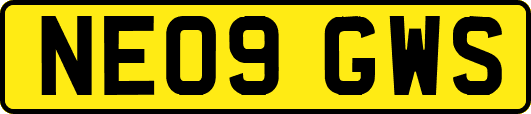 NE09GWS