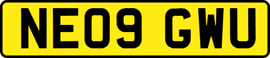 NE09GWU
