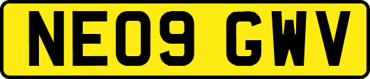 NE09GWV