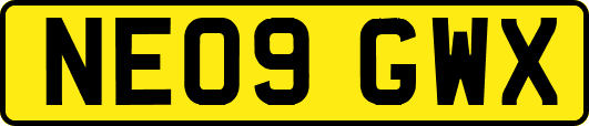 NE09GWX