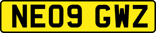 NE09GWZ