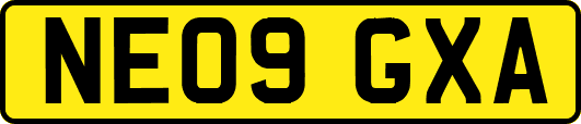 NE09GXA