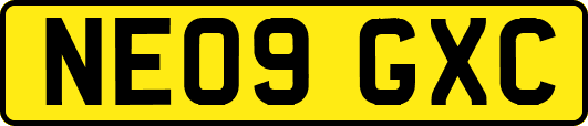 NE09GXC
