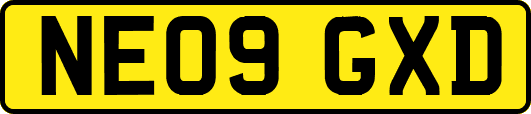 NE09GXD