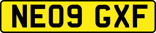 NE09GXF