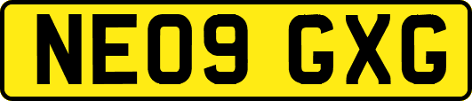NE09GXG