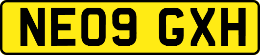 NE09GXH