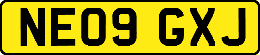 NE09GXJ
