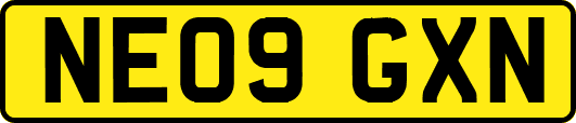 NE09GXN