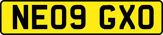 NE09GXO