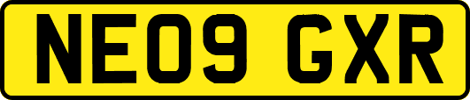 NE09GXR