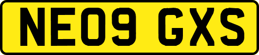 NE09GXS