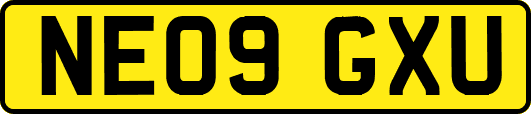 NE09GXU
