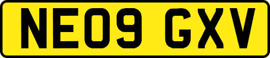 NE09GXV