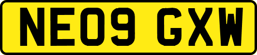 NE09GXW