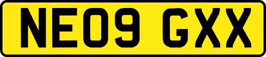 NE09GXX