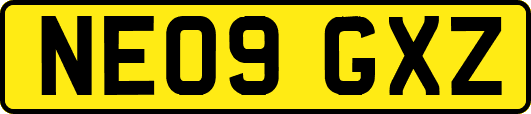 NE09GXZ