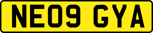 NE09GYA