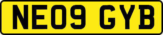 NE09GYB