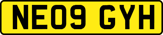 NE09GYH