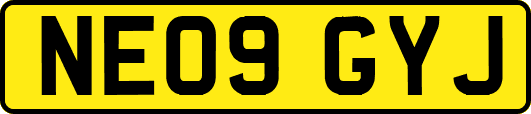 NE09GYJ
