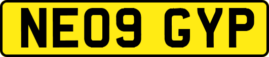 NE09GYP
