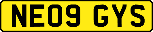 NE09GYS