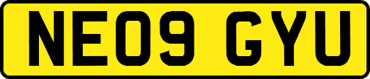NE09GYU